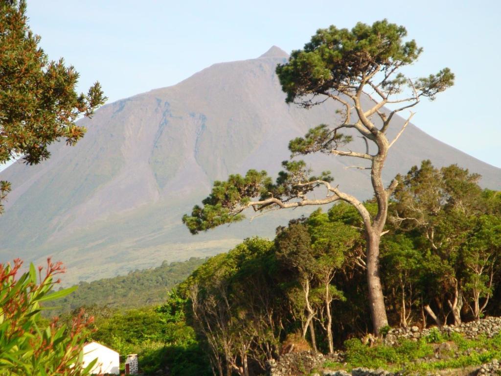 Aldeia Da Fonte Hotel Lajes do Pico Buitenkant foto